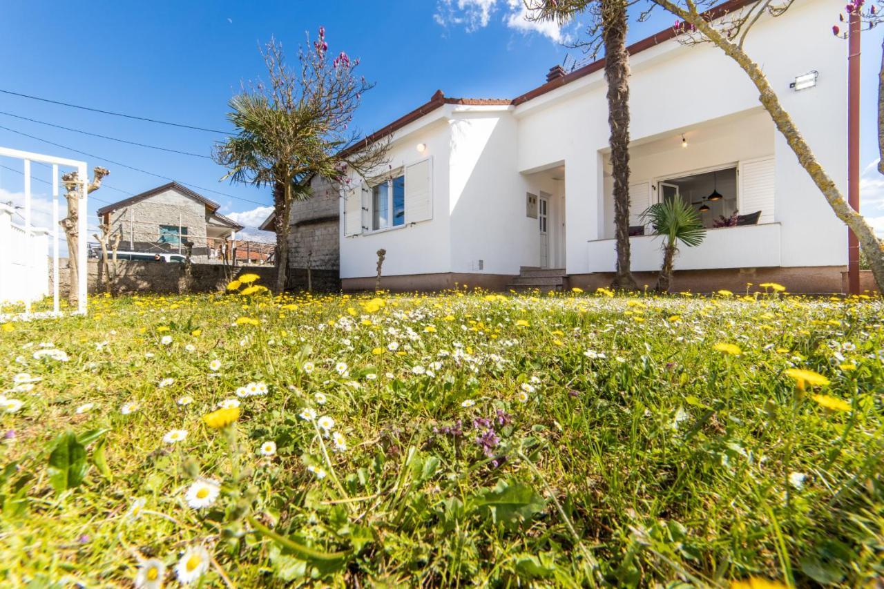 Guesthouse Four Rivers Čapljina エクステリア 写真