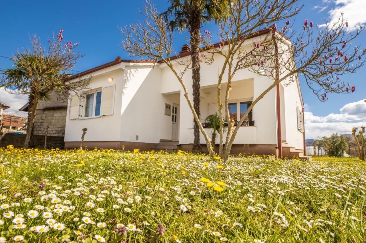 Guesthouse Four Rivers Čapljina エクステリア 写真